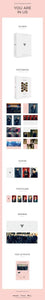 The Fact Seventeen Photobook